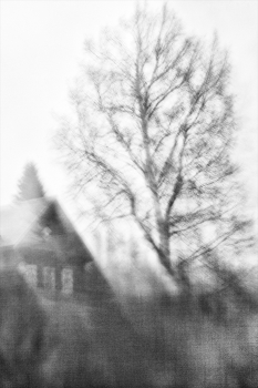 Жизнь вокруг / ***