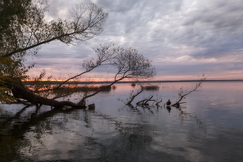 Поздняя осень / ***