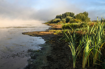 Левый берег Оки. / ***