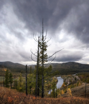 Устремленные ввысь / ***