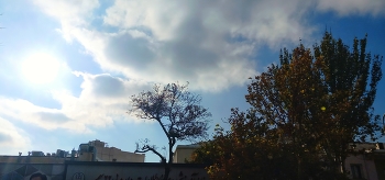 &nbsp; / Golden autumn leaves swirling gently in the wind, capturing the motion and warm energy of the season — a perfect blend of color, light, and natural rhythm.