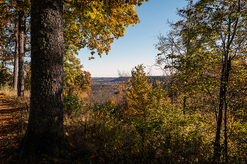 &nbsp; / Осень.
