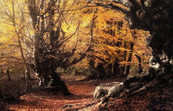 &nbsp; / Демерджи. Крым