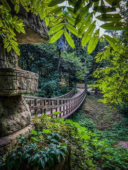 Деревянный мост / 2024 / Мобильная фотография / iPhone 13 Pro