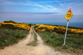 On Your Own Risk / Ты туда не ходи,... совсем мёртвый будешь