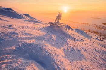 &nbsp; / Внимание!!! Поездку на кольский в ноябре переношу на неделю вперед с 22-по 29.11. Можете присоединиться. 2 места свободно. Можете присоединиться. Кандалакша, Кировск, Верхнетуломский

Следующей осенью на Ладожском озере будем ловить свет в Питкяранте. Собирайтесь :)
Напомню, что в 26-м на озеро Джека Лондона поеду весной на цветение Рододендрона, в конце июня. Группа набирается. Скоро настанет пора покупки авиабилетов. Пишите, звоните....
И, традиционно, осень на Джеке. Набор группы в самом разгаре
В 27-м году следующая поездка в Архангельскую область на золотую осень в клнце сентября. Программу буду увеличивать до двух недель. Т.к. очень много передвижений, просто не успеваем впитать в себя душевность этих мест. А очень хочется просто побродить и напиться вдоволь...

Следующая моя поездка в Момский НацПарк запланирована на конец августа 28-го года.
Пока готовлюсь к очередным путешествиям...На НГ в Ворзогоры могу взять ещё одного человека. Можно поехать в Кимжу в начале февраля. Анонсы на сайте phototourtravel.ru