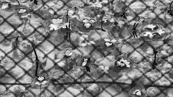 Жизнь вокруг / ***