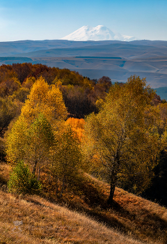 Кисловодский парк / Чистая энергия впечатлений. 
Из фотопроекта «Открывая Ставрополье».