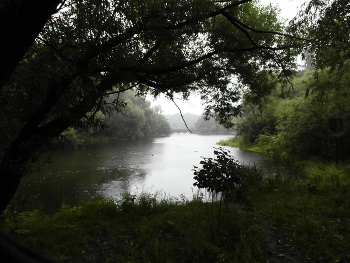 Моросит / ***