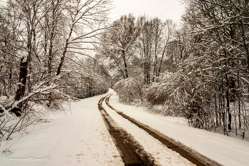Эх дороги... / Место съемки: Калужская область, Мещовский район
Фотограф: https://vk.com/vvlopatoff