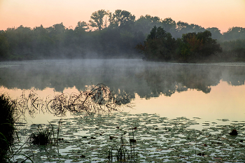 Тихое осеннее утро. / ***