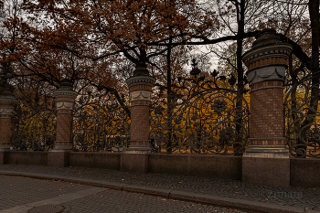 Питерская красота / Осеннее путешествие в Питер