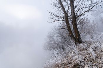 На краю / Рассвет. Туман, густой как молоко, накрыл всё вокруг...