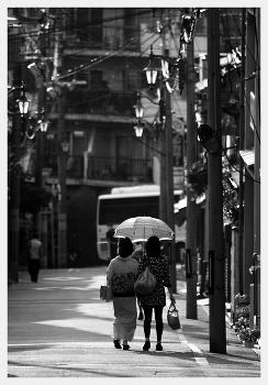 Японский мотив / ***