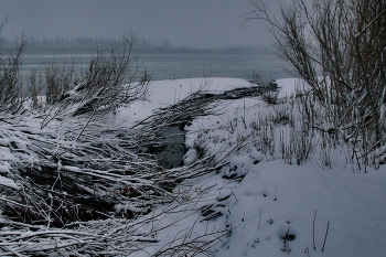 **Ручей.* / **Томская область.*