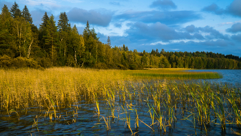 Озеро Пялькъярви / Озеро Пялькъярви в Карелии