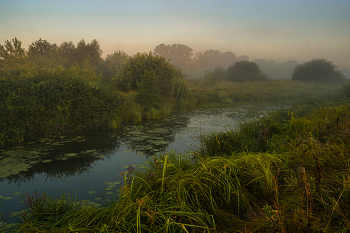 Летнее утро. / Небольшая речка Палец.