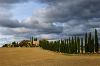 Вилла с кипарисовой аллеей / Вилла Poggio Covili со своей знаменитой кипарисовой аллеей
Кастильоне Д'Орча октябрь 2025