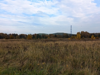 Косино-Ухтомский / ***