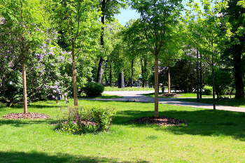 Парк Декабрьского восстания / Парк Декабрьского восстания в Москве. Май 2024.