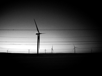 тишина / природа