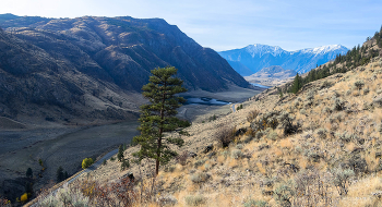 Осенние склоны / В горах. Ноябрь.