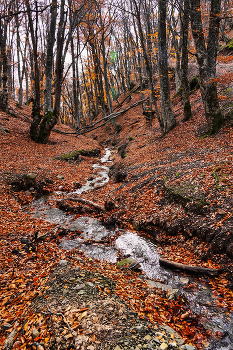 &nbsp; / Крым, Северный Демерджи