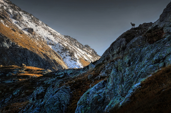 Стражник.. / Кавказ, Карачаево-Черкесия