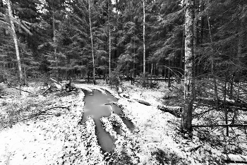 Вот и ноябрь пришел предзимний ... / ***