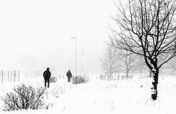 &quot;Метель опять метет, другого не умеет ...&quot; / &quot;Метель опять метет, другого не умеет,
 Ей с ветром все равно, куда и что мести.
 И замела уж все дорожки и аллеи,
 И очень тяжело куда-нибудь дойти ...&quot;
 И.Расшивалова