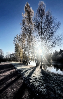 преддверие зимы / ***