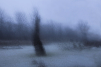 &nbsp; / Пикториализм