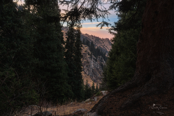 Всё выше и выше, горными тропами... / Орлиное гнездо
Алматинские горы
