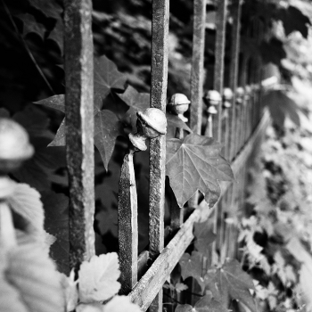 Не держит строй / ***