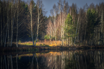 Осенний этюд. / Зимой и летом одним цветом. (сосна)