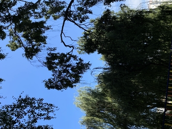 Сама природа признается нам в любви! Сердца рисует в небе — посмотри… / Мимоходом проходя
Глаза к небу подняла…

Сама природа признается нам в любви! 
Сердца рисует в небе — посмотри…