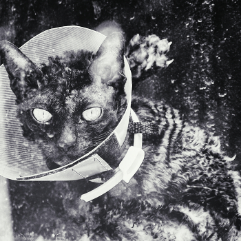 Эти глаза напротив / ***