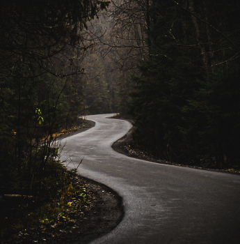 Дорога в лесу / ***