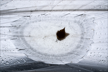 не пойму: / это натюрморт, или абстракция?