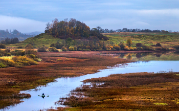 Из серии «Пейзажные картины» / Из фотопроекта «Магия Ленинградской области».