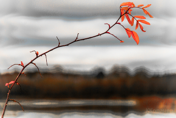 Ноябрь / Ноябрь