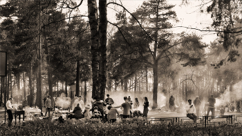 Шашлыки... / Было время... Сейчас уже &quot;низзя&quot;. Низзя в парке, иди за шашлыком в &quot;лавку&quot;. Демократия... Смотрите &quot;большую&quot; будет интересно!