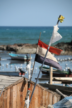 У моря / не умора