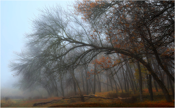 Унылая пора... / ***