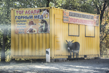 &nbsp; / ослик пятничный...