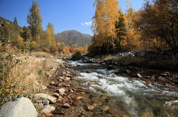 Солнечный день / ***