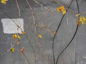 Эклектика / ***