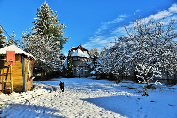 &quot;Глядь, зима катит в глаза ...&quot; / Первый снег в подмосковье ...