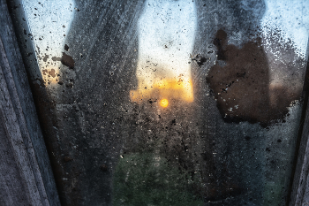 Жизнь вокруг / ***