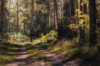 В полдень. / Сентябрьские зарисовки